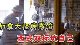 美国卫生部官员最新爆料,疫情真相与应对策略大揭秘