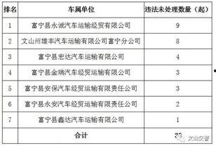 文山最新爆料台,揭秘幕后真相，带你走进事件核心