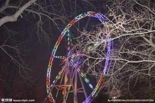 娱乐爆料霓虹灯图片,揭秘明星幕后故事