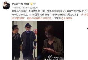 刘仪伟爆料夏天视频播放,刘仪伟揭秘夏天视频播放背后的秘密