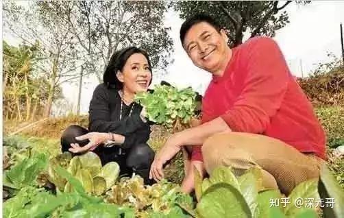 陈氏果业爆料事件视频大全,视频大全揭秘真相与争议