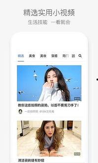 爆料八兔视频大全下载安装,下载安装攻略全解析