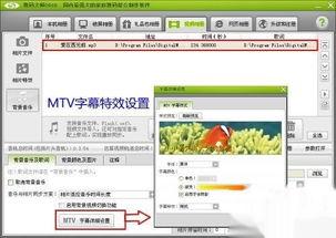 怎么做爆料图片和视频呢