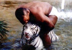 王老虎被爆料视频大全,揭秘事件背后真相