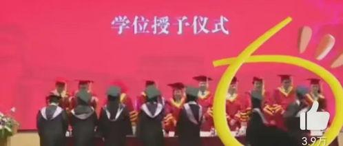 新疆老师爆料新闻事件真相,还原事实真相